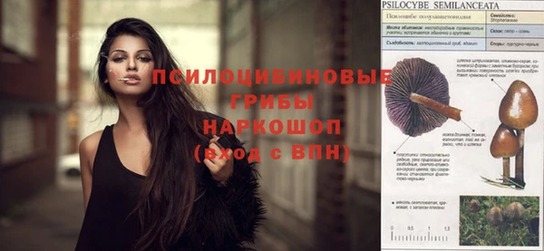 соль ск Беломорск
